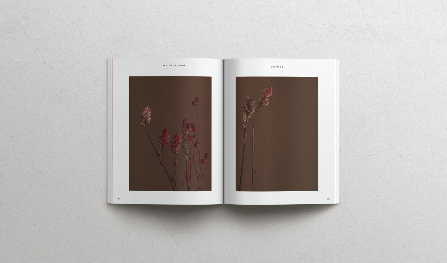 The Book of Esther - Softcover