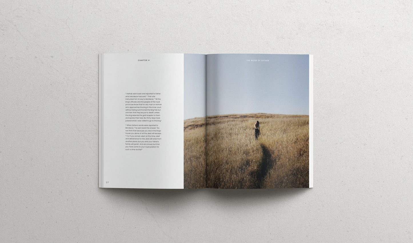 The Book of Esther - Softcover