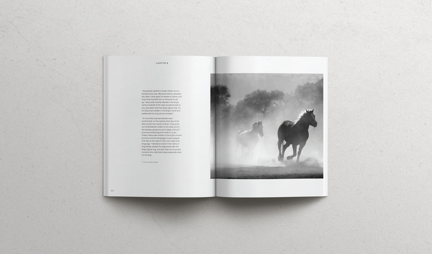 The Book of Esther - Softcover