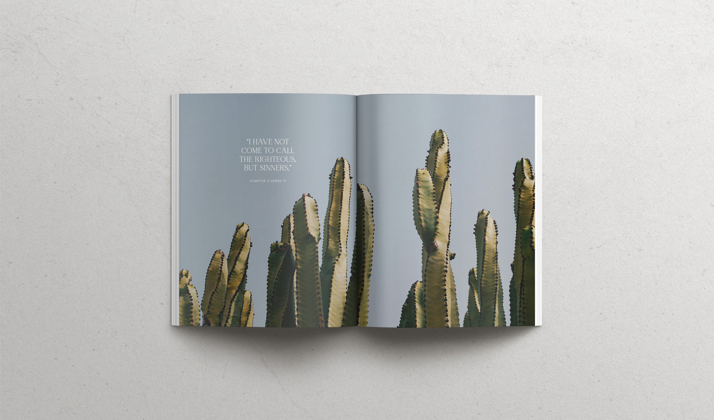 The Book of Mark - Hardcover