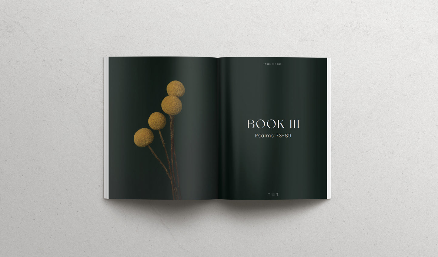 The Book of Psalms - Hardcover