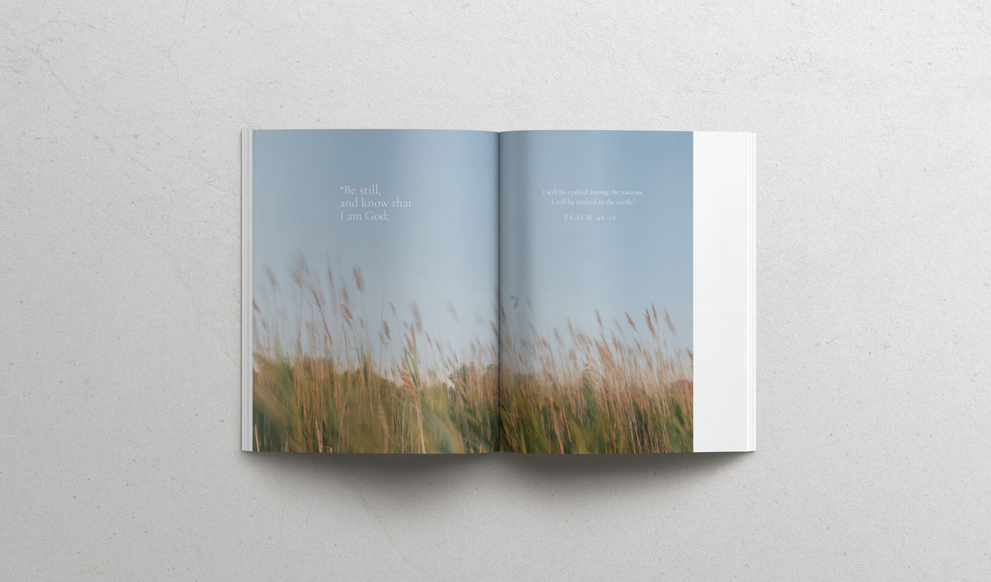 The Book of Psalms - Hardcover