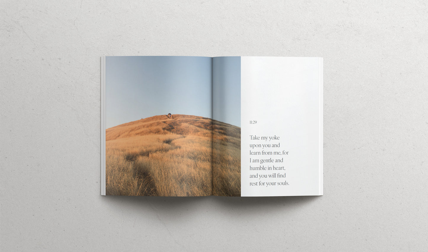 The Book of Matthew - Hardcover