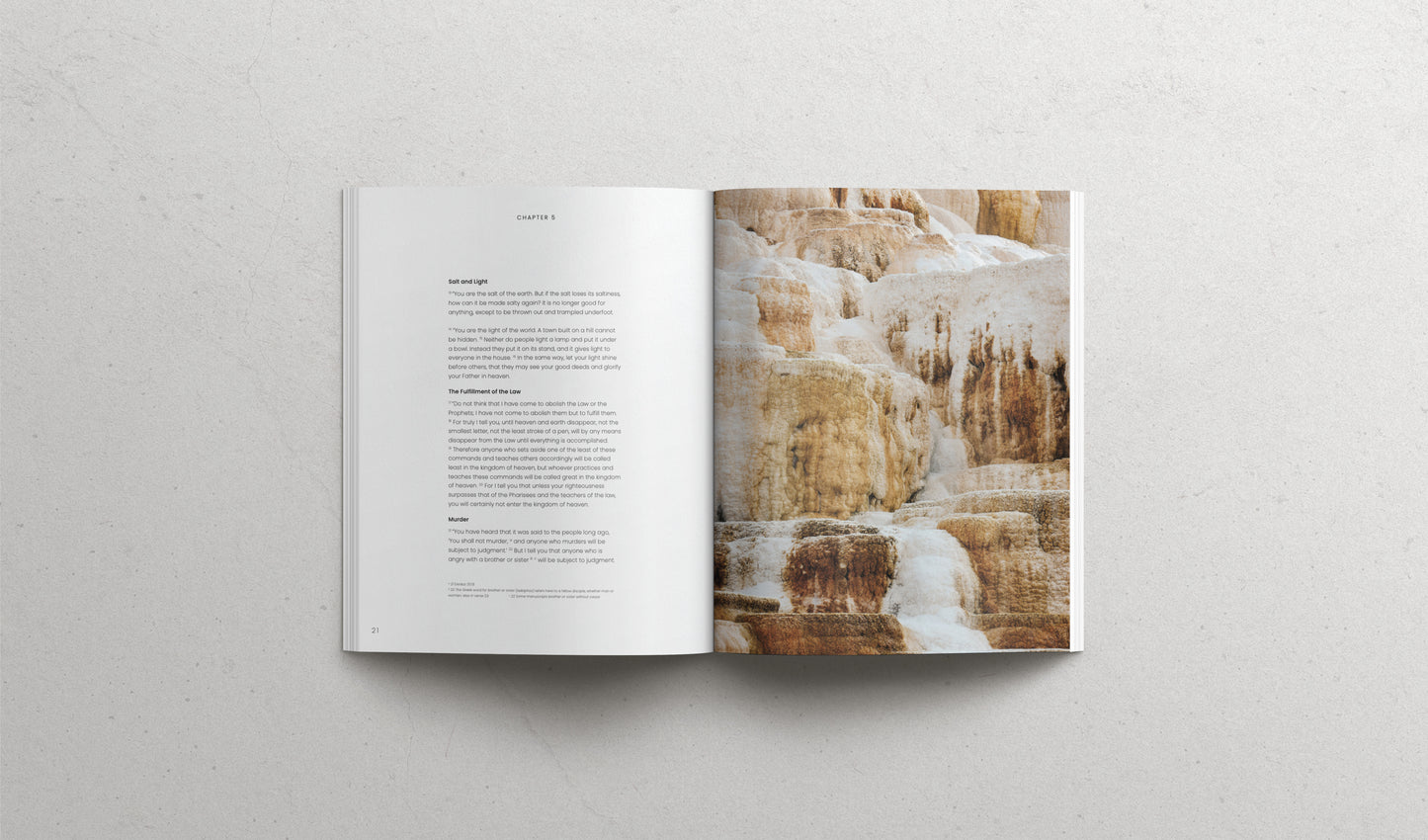 The Book of Matthew - Softcover