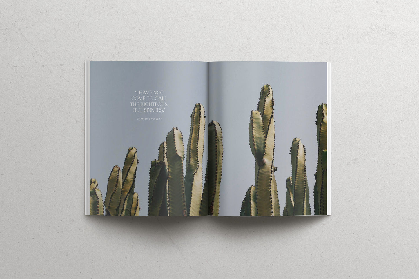 The Book of Mark - Softcover