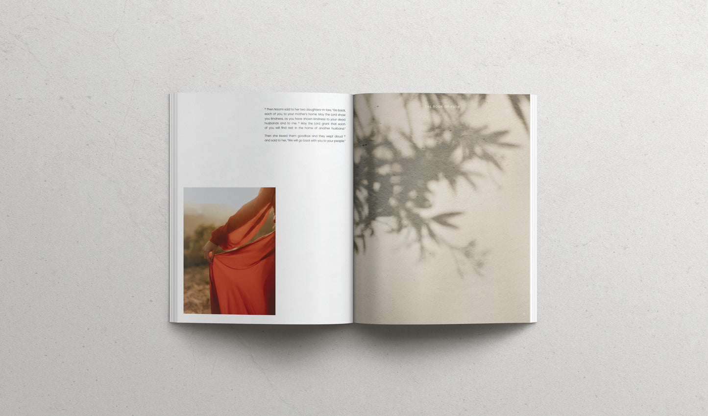 The book of RUTH - Softcover | Pre-SALE