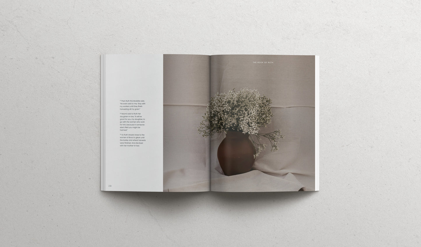 The book of RUTH - Softcover | Pre-SALE