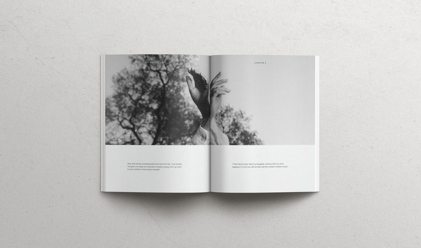 The book of RUTH - Softcover | Pre-SALE