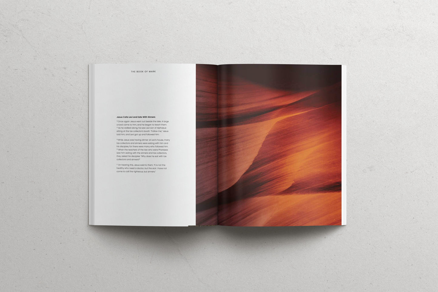 The Book of Mark - Softcover
