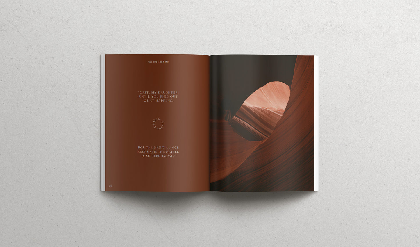The book of RUTH - Softcover | Pre-SALE