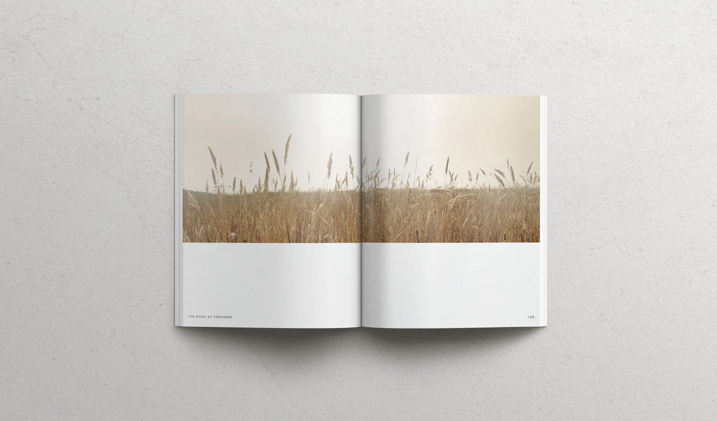 The Book of Proverbs - Hardcover