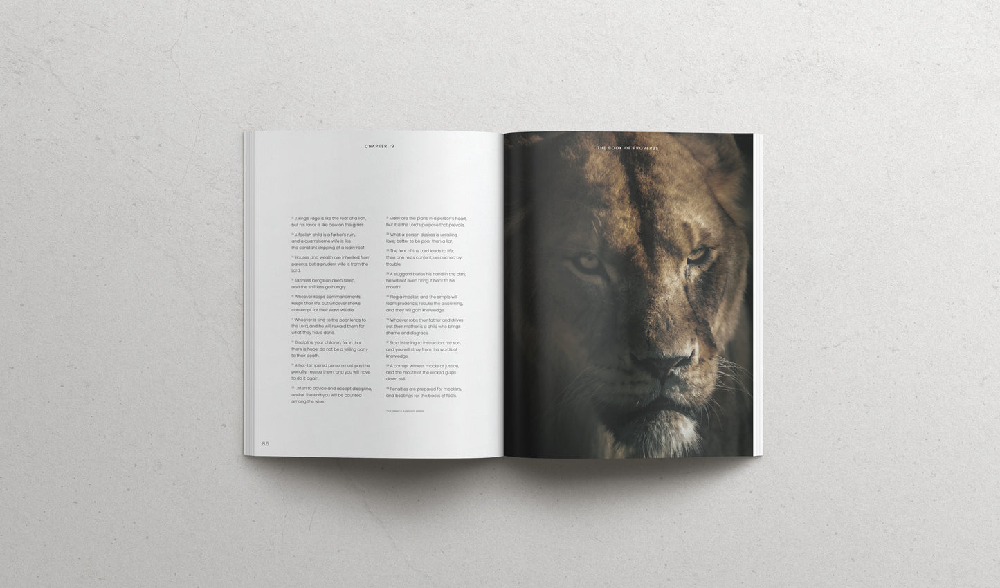 The Book of Proverbs - Hardcover