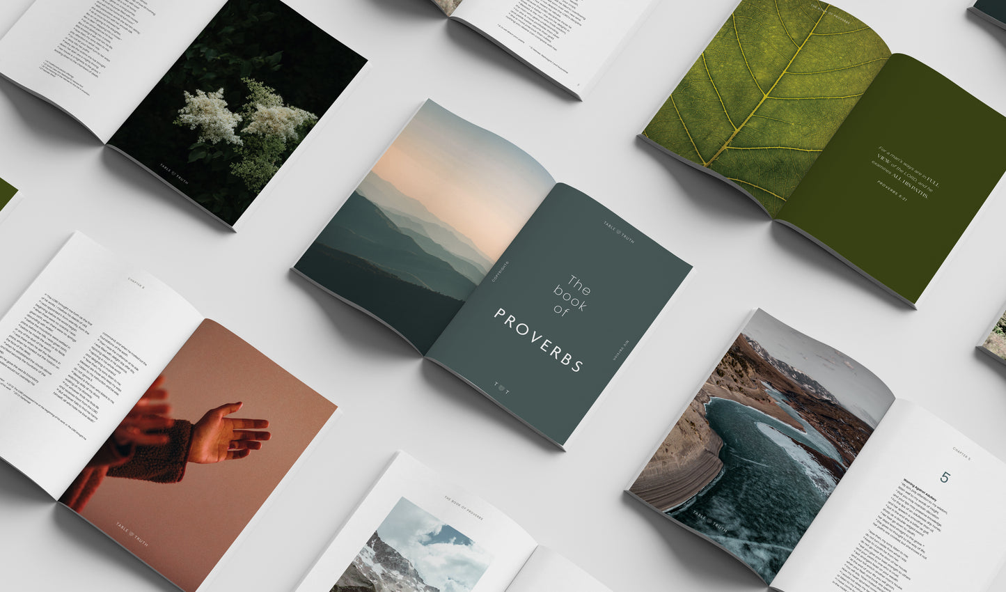 The Book of Proverbs - Hardcover