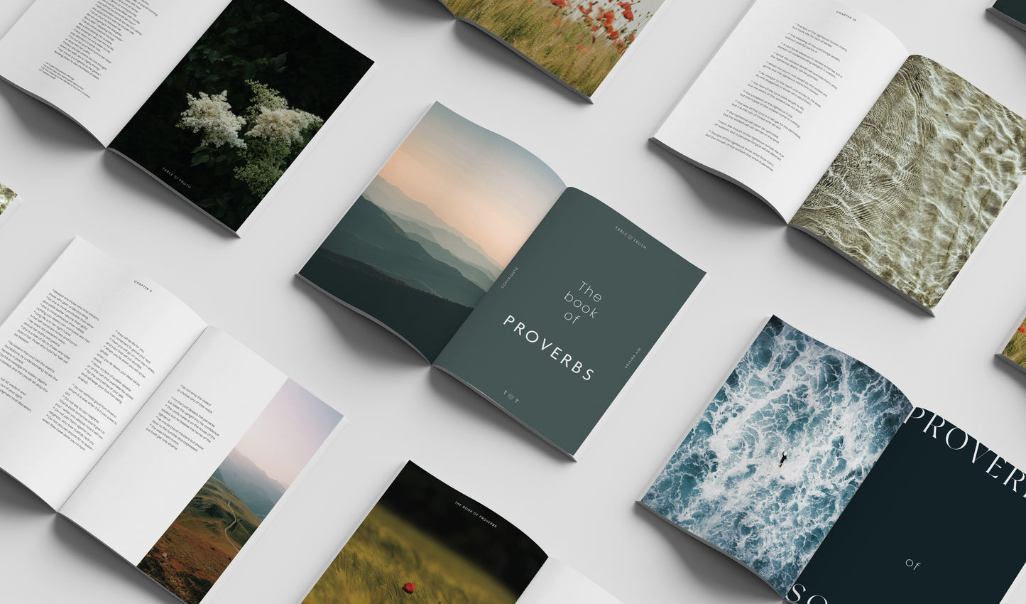 The Book of Proverbs - Hardcover